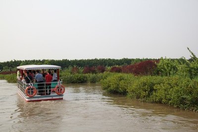 广州南沙湿地公园游览攻略 广州南沙湿地公园