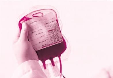 血浆蛋白的主要种类和功能 献血桨对身体有害吗