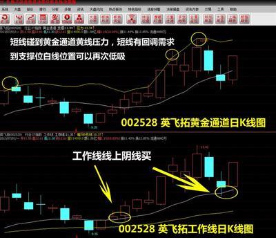 许君浩：如何把握个股高抛低吸的操作节奏