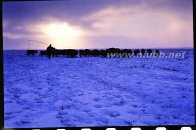 下大雪了，去围场吧！ 下大雪