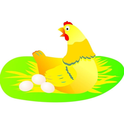 母鸡孵化小鸡的经验 怎么人工孵小鸡 最简单