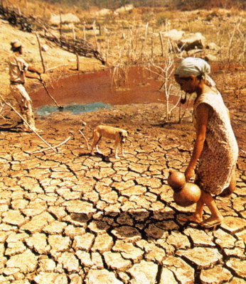 关于非洲缺水情况资料 非洲儿童缺水图片