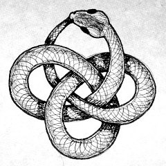 衔尾蛇（Ouroboros）符号 衔尾蛇病毒