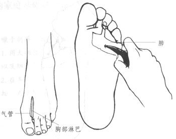 嗓子痰多怎么办-嗓子发痒发干家庭基础调理法 嗓子疼痰多