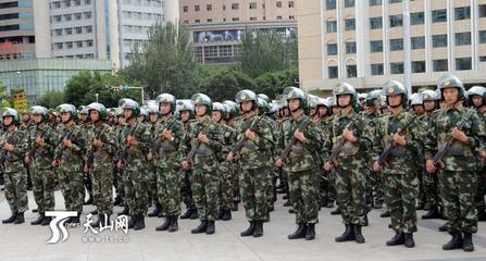 中国武警机动部队 武警机动师实力排名