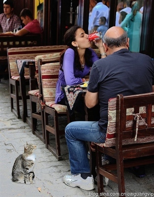 发现土耳其：游荡在土耳其大街小巷中的“黑色幽灵”