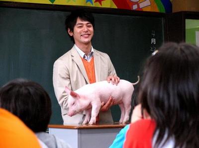 电影《小猪教室》观后感 小猪教室观后感