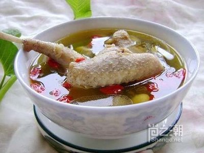 鸽子汤的营养 那些人不能喝鸽子汤