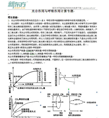 三、光合作用 高三生物光合作用