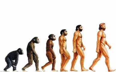生物是如何进化的？ 达尔文生物进化论