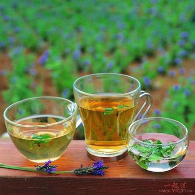 普洱生茶与熟茶的区别 及泡茶方法 普洱茶红茶还是绿茶