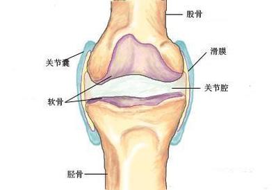 如何治疗膝盖疼痛..... 治疗膝盖滑膜炎