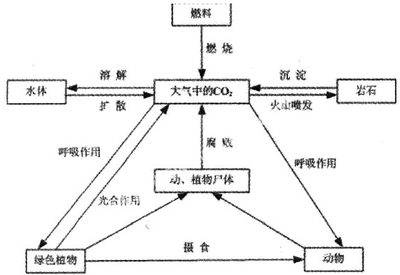 小学科学知识主要概念21个 小学科学概念图教学