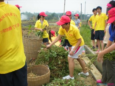 07电子商务团支部暑期社会实践活动总结 社会实践团支部意见