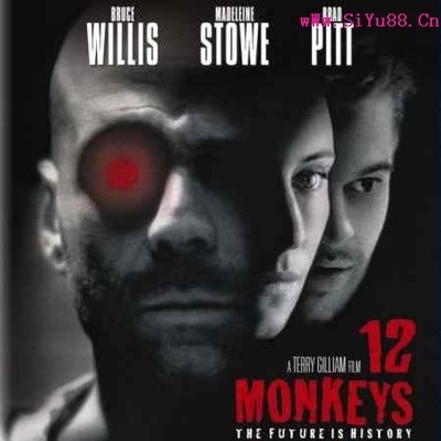12猴子 12只猴子解析