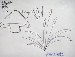 狗尾巴草 狗尾巴草图片简笔画