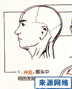 神庭穴 太冲准确位置图和作用