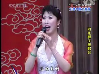 河北梆子演唱会 河北梆子庆五一演唱会