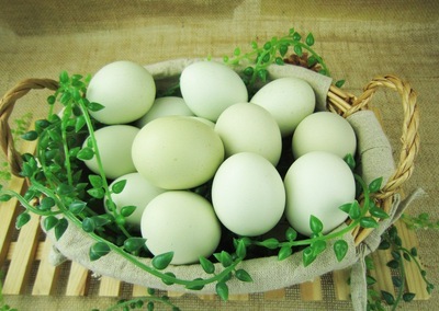有机鸡蛋 有机鸡蛋有绿