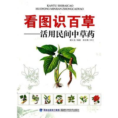 民间草药---悬钩子 民间中草药单方奇效