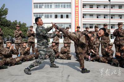 散打拳法实战技术（图） 散打拳法教学视频