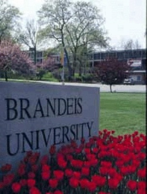 与正在BrandeisUniversity读书学生的一段聊天记录 读书活动记录