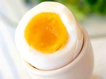 鲜鸡蛋黄中沙门氏菌的致死温度及时间的探索 鸡蛋中的沙门氏菌