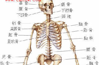 正骨手法境界之我见 中医正骨手法视频