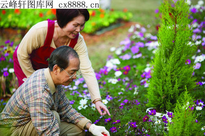 《中国老年杂志社》坑害老年人一例 老年教育杂志社