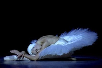 欣赏世界顶尖水平的经典芭蕾舞《天鹅之死》 芭蕾舞欣赏
