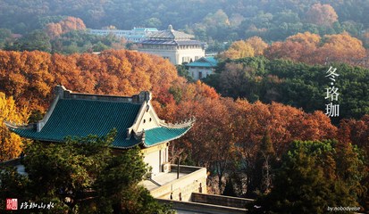 东湖填湖之乱始末调查-转自珞珈山水 - 武汉建设 - 汉网论坛 武汉大学珞珈山水