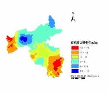 中国土壤有机质含量图 土壤有机质含量
