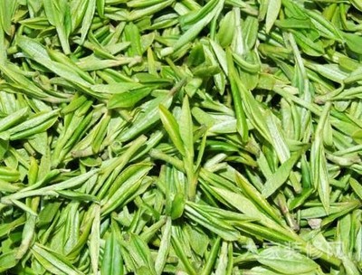 绿茶的属性、种类、功效作用 绿茶的功效与作用