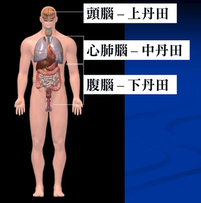 丹田位置在哪？ 丹田的准确位置图