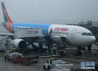 上海浦东国际机场 上海浦东国际机场面积