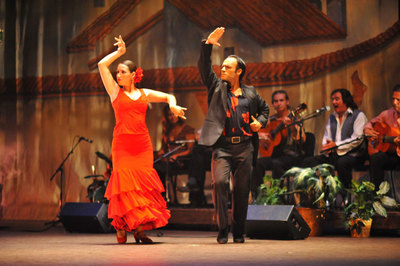 《永恒的弗拉门戈》（Flamenco） canon flamenco