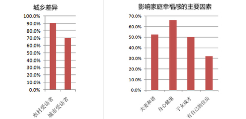 -2011年度中国家庭幸福感调查报告- 幸福感调查