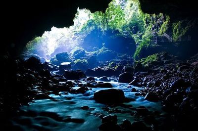 通灵大峡谷 通灵大峡谷门票