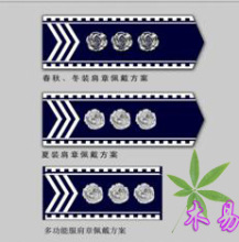北京城管07式肩章标识一览 城管肩章等级