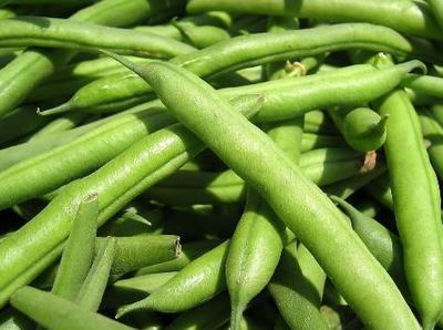 四季豆的营养价值 它有哪些食用功效 各种食用油的营养价值