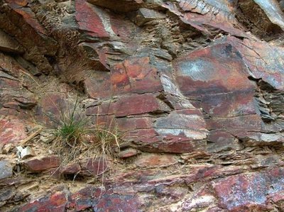 三大岩石简介14-岩石地质分类：<三>变质岩——《方解石》《大理岩