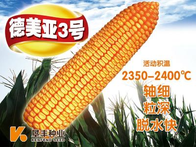 中国玉米种业的新常态 玉米种业50强