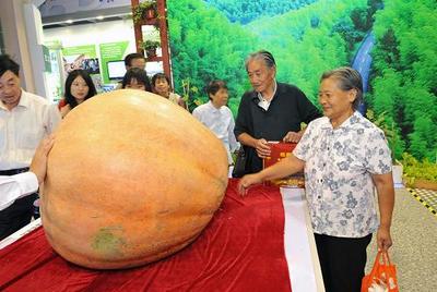 新中国建立后的前三十年，是建设成就辉煌还是发展缓慢 新中国的辉煌成就