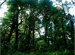 森林资源管理与开发利用 课程资源的开发与利用
