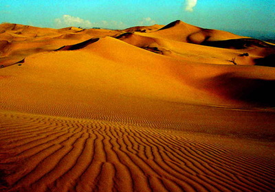 张寰宇老师的《在沙漠中心》教学实录 在沙漠中心教学反思