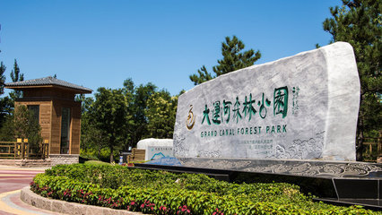 走近通州大运河森林公园 北京大运河森林公园