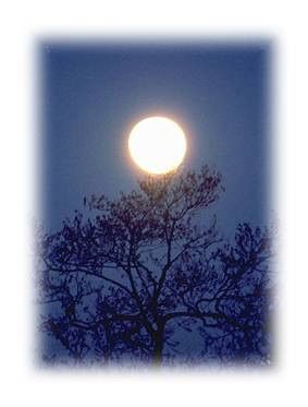 来自古诗文的关于月亮的美称 月亮有什么美称