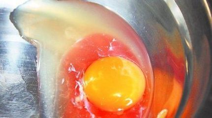血鸡蛋原是母鸡来例假揭开千年之迷 梦到母鸡身上挂满鸡蛋