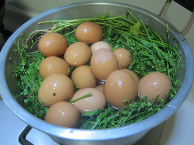 【农历三月三】南京人都会吃荠菜花煮鸡蛋 农历三月三是几号