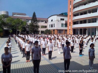 不可思议：他使6所学校起死回生！（钟智伟与华粤集团访谈录）